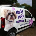 essex dog grooming 36