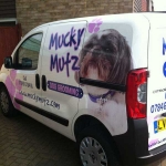 essex dog grooming 44